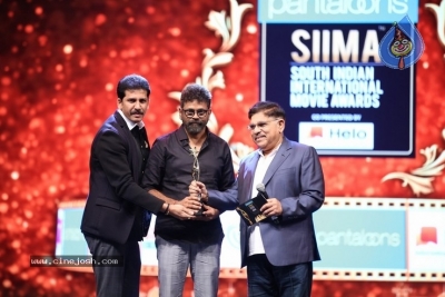 SIIMA Awards 2019 Photos Set 3 - 13 of 42
