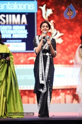 SIIMA Awards 2019 Photos Set 3 - 26 of 42