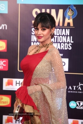 SIIMA Awards Day2  - 7 of 63