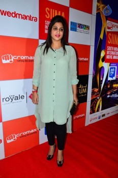 SIIMA Press Meet Photos - 25 of 42