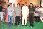 Simha Movie Audio Success Meet - 221 of 237