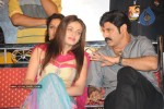 Simha Movie Audio Success Meet - 105 of 237