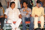 Simha Movie Audio Success Meet - 161 of 237