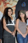 Simha Movie Press Meet - 60 of 58