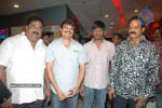 Simha Movie Special Show  at Cinemax - 28 of 48