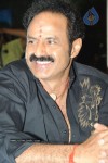 Simha Movie Success Meet Photos - 3 of 152