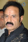 Simha Movie Success Meet Photos - 20 of 152