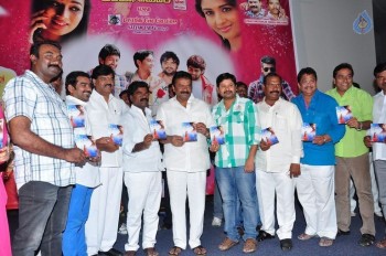 Simple Love Story Audio Launch Photos - 15 of 21