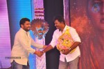 Singam Movie Audio Launch 03 - 29 of 81