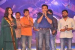 Singam Movie Audio Launch 03 - 43 of 81