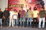 Singham 123 Movie Audio Launch - 14 of 46