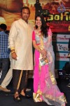 Singham 123 Platinum Disc Function - 159 of 169