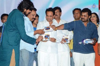 Sitara Audio Launch - 42 of 42