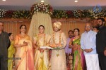 Sivaji Family Wedding Reception Photos - 1 of 58