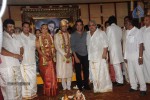 Sivaji Family Wedding Reception Photos - 37 of 58