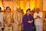 Sivaji Family Wedding Reception Photos - 17 of 58