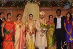 Sivaji Family Wedding Reception Photos - 20 of 58