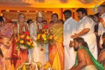 Sivaji Family Wedding Reception Photos - 35 of 58