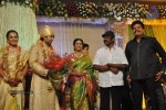 Sivaji Family Wedding Reception Photos - 54 of 58