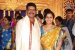Sivaji Raja Daughter Wedding Photos 01 - 65 of 238