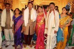 Sivaji Raja Daughter Wedding Photos 01 - 141 of 238