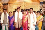 Sivaji Raja Daughter Wedding Photos 01 - 199 of 238
