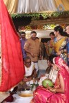 Sivaji Raja Daughter Wedding Photos 02 - 148 of 253