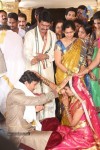 Sivaji Raja Daughter Wedding Photos 02 - 80 of 253