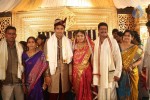 Sivaji Raja Daughter Wedding Photos 02 - 23 of 253