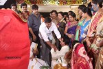 Sivaji Raja Daughter Wedding Photos 02 - 36 of 253