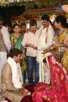 Sivaji Raja Daughter Wedding Photos 02 - 45 of 253