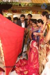 Sivaji Raja Daughter Wedding Photos 02 - 52 of 253