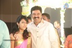 Sivaji Raja Daughter Wedding Photos 02 - 91 of 253