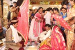 Sivaji Raja Daughter Wedding Photos 02 - 124 of 253
