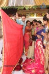 Sivaji Raja Daughter Wedding Photos 02 - 156 of 253