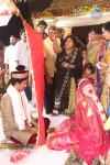 Sivaji Raja Daughter Wedding Photos 02 - 158 of 253