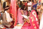 Sivaji Raja Daughter Wedding Photos 02 - 167 of 253