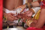 Sivaji Raja Daughter Wedding Photos 02 - 170 of 253