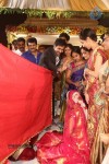 Sivaji Raja Daughter Wedding Photos 02 - 178 of 253