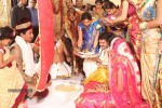 Sivaji Raja Daughter Wedding Photos 02 - 179 of 253