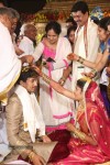Sivaji Raja Daughter Wedding Photos 02 - 182 of 253