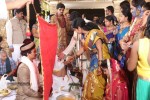 Sivaji Raja Daughter Wedding Photos 02 - 184 of 253