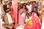 Sivaji Raja Daughter Wedding Photos 02 - 205 of 253