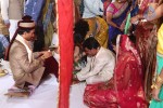 Sivaji Raja Daughter Wedding Photos 02 - 211 of 253