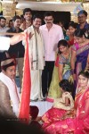 Sivaji Raja Daughter Wedding Photos 02 - 241 of 253