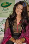 Sneha Launches Dabur Amla Oil - 12 of 34