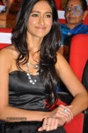 Snehithudu Movie Audio Launch Set 01 - 38 of 147