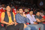 Snehithudu Movie Audio Launch Set 01 - 67 of 147