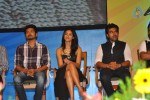 Snehithudu Movie Audio Launch Set 03 - 25 of 86