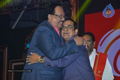 Sobhan Babu Awards 2019 - 98 of 114